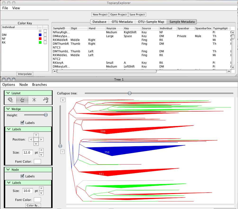 Screenshot of Topiary Explorer